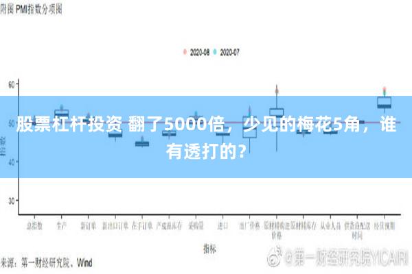 股票杠杆投资 翻了5000倍，少见的梅花5角，谁有透打的？