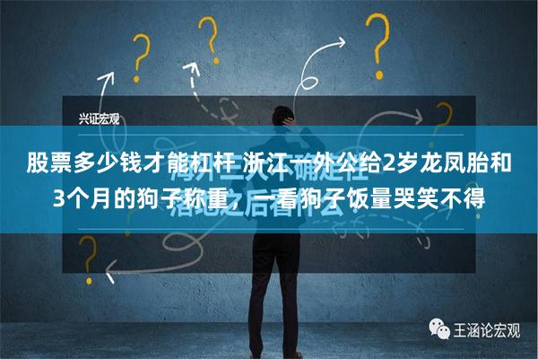 股票多少钱才能杠杆 浙江一外公给2岁龙凤胎和3个月的狗子称重，一看狗子饭量哭笑不