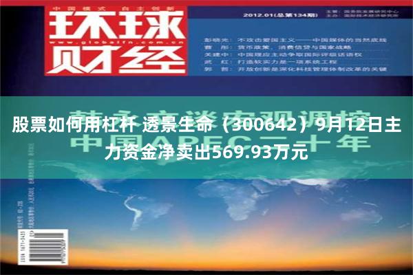 股票如何用杠杆 透景生命（300642）9月12日主力资金净卖出569.93万元