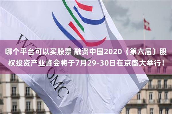 哪个平台可以买股票 融资中国2020（第六届）股权投资产业峰会将于7月29-30日在京盛大举行！