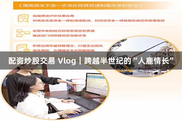 配资炒股交易 Vlog｜跨越半世纪的“人鹿情长”